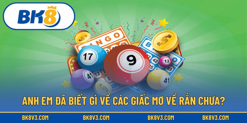 Anh em đã biết gì về các giấc mơ về rắn chưa?