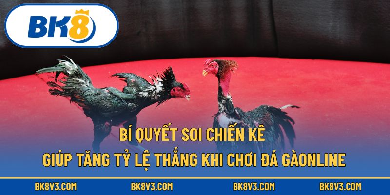 Bí quyết soi chiến kê giúp tăng tỷ lệ thắng khi chơi đá gà online