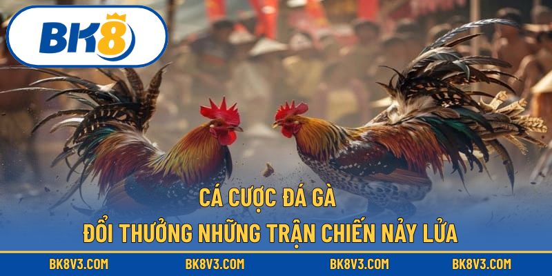 Cá cược đá gà đổi thưởng
