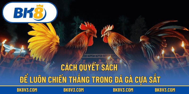 Cách quyết sách để luôn chiến thắng trong đá gà cựa sắt