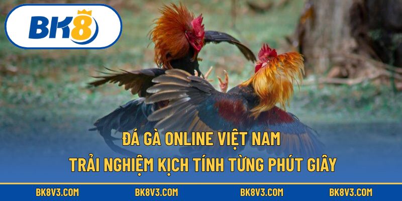 Đá Gà Online Việt Nam