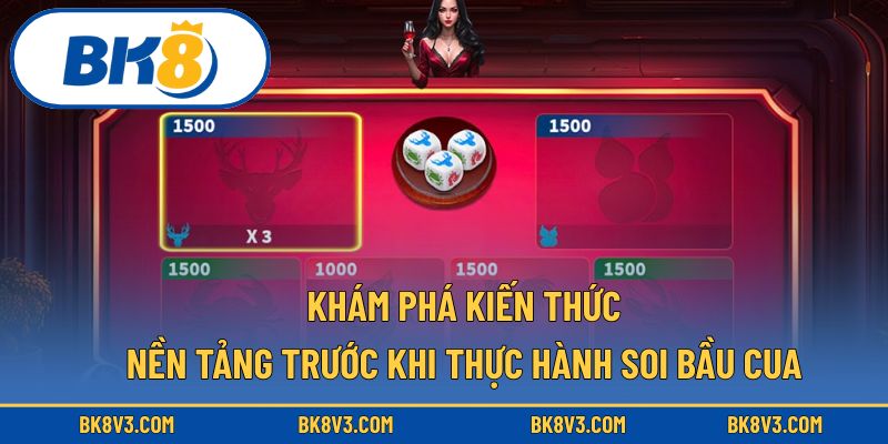 Khám phá kiến thức nền tảng trước khi thực hành soi bầu cua