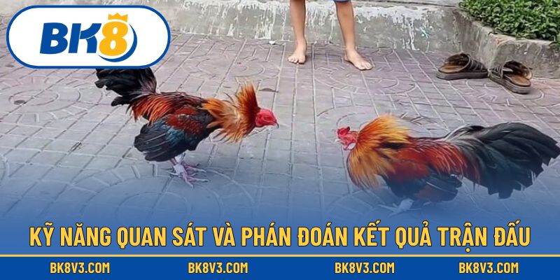 Kỹ năng quan sát và phán đoán kết quả trận đấu