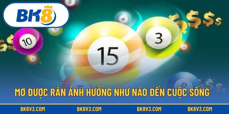Mơ được rắn ảnh hưởng như nào đến cuộc sống