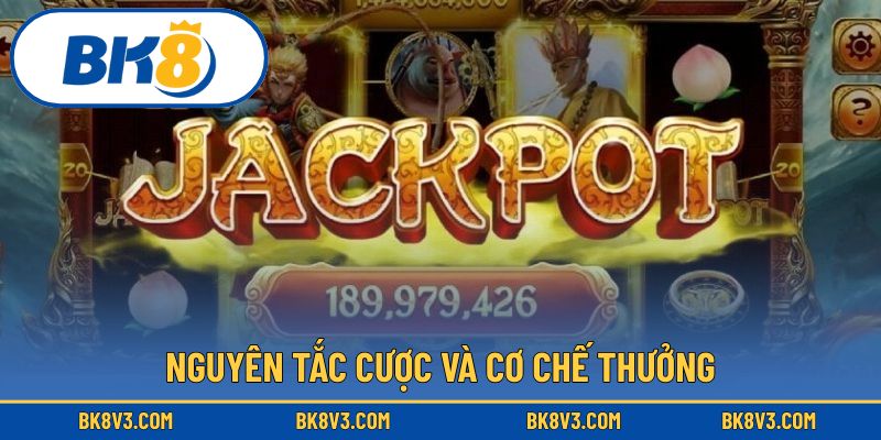 Cập nhật những luật lệ cơ bản