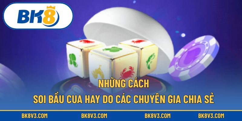 Những cách soi bầu cua hay do các chuyên gia chia sẻ