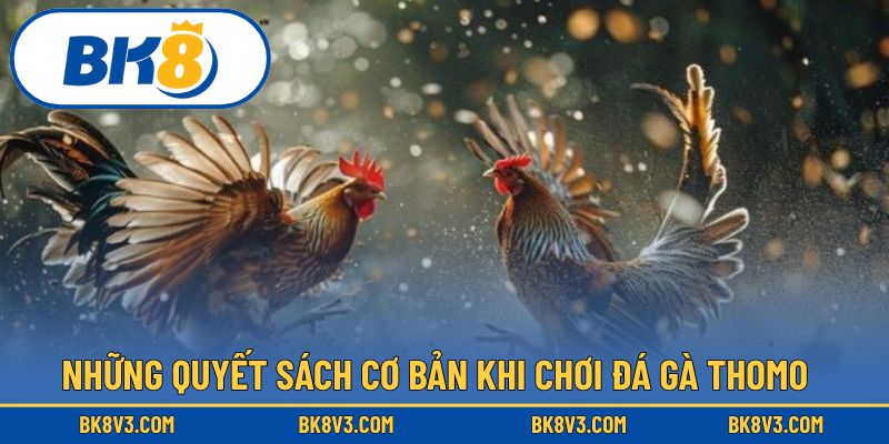 Những quyết sách cơ bản khi chơi đá gà thomo