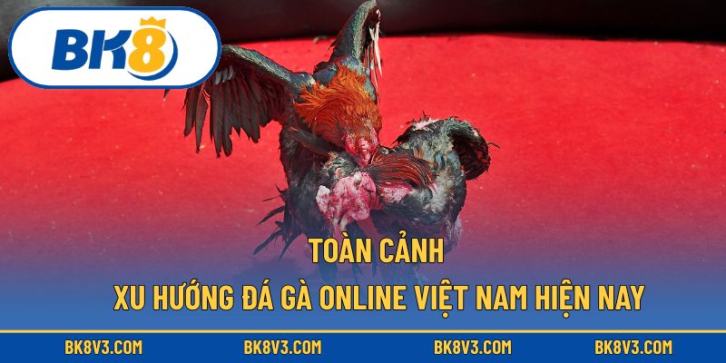 Toàn cảnh xu hướng đá gà online Việt Nam hiện nay