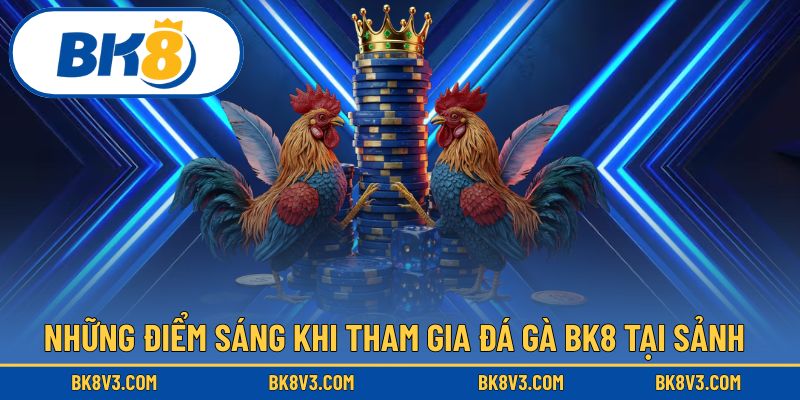 Các điểm sáng tại sảnh đá gà BK8